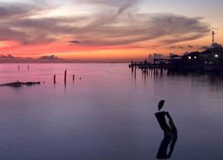 Galveston